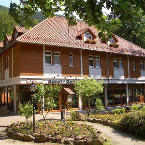 Kurpark Flair Hotel Im Ilsetal